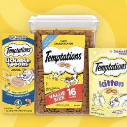 FREE Temptations Cat Treat Sample
